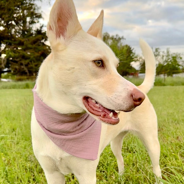 Dog Bandana Gauze Lilac Bandana Neutral Gauze Muslin Cotton Bandana Dog Mom Gift Pet Gift Dog Scarf Gift Dog Desert Iris Purple Bandana