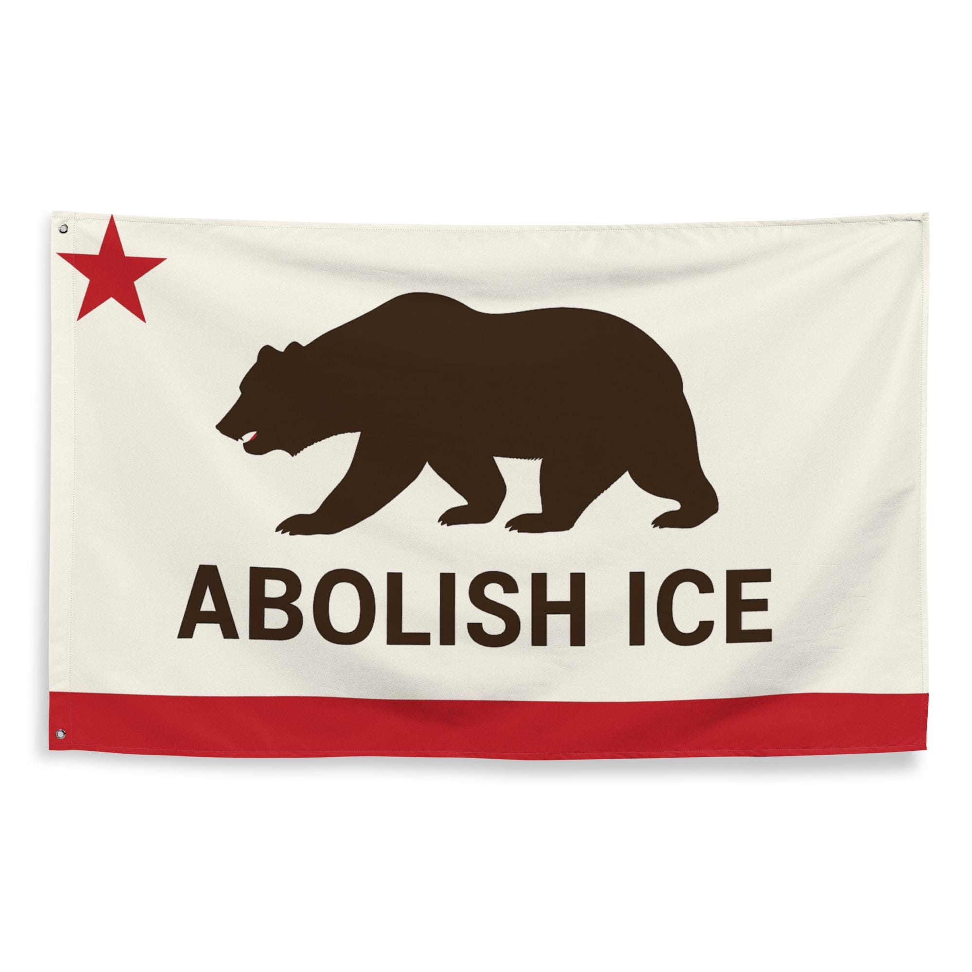 Abolish Ice Flag - Protest Banner for Immigration Rights, Political Activist Outdoor Decor, Anti ICE Wall Hanging FDT