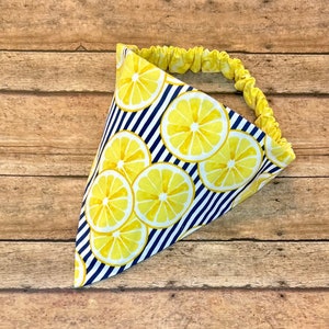 Citrus Splash- Reversible Scrunchie Dog Bandana