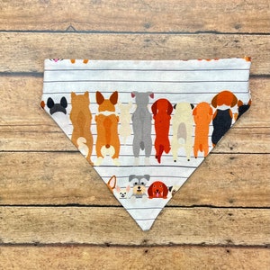The Cutest Wigglebutts- Reversible Scrunchie Dog Bandana