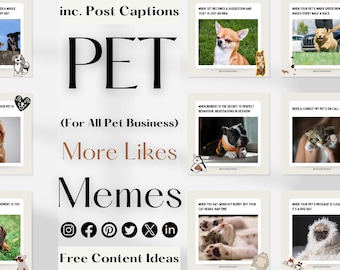 Instagram Bundle for Pet Lover Business, Post Funny Meme, Boho Beige Ivory Luxe Aesthetic, Dog Cat Sitting Grooming Training Coach
