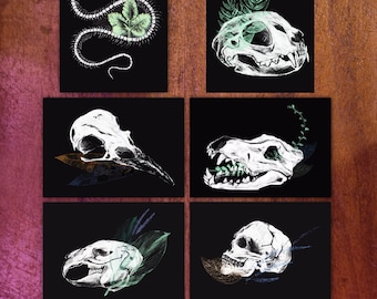 ART PRINT ~ Flora & Fauna: skeletal prints