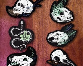 STICKERS ~ Flora & Fauna: skeletal Sticker Set