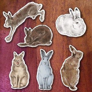 ADESIVI e MAGNETI CONIGLIO ~ Prodotti Hare