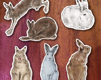 RABBIT STICKERS and MAGNETS ~ Hare products
