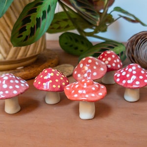Può includere: Una collezione di statuine a forma di fungo in ceramica con cappelli rossi e pois bianchi. I funghi hanno gambi bianchi e sono disposti su una superficie di legno. Foglie verdi e un vaso decorativo sullo sfondo.