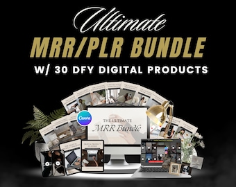 30 DFY Digital Products MRR PLR-bundel: gezichtsloze marketing (digitale download)