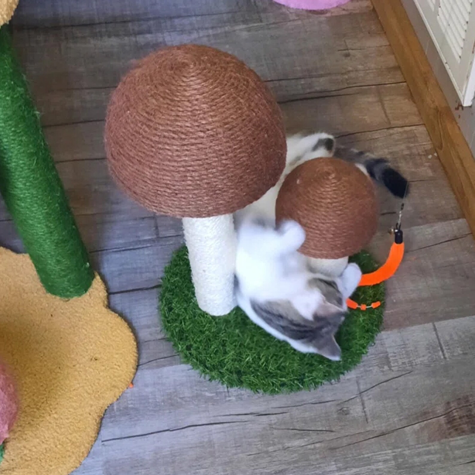 14 Mushroom Scratching Post Cat Tree Mushroom Cat Etsy