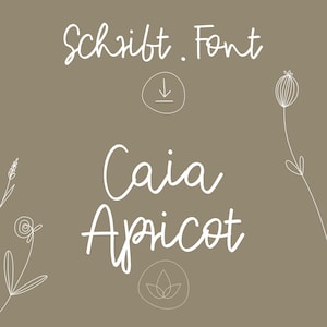May include: A digital download for the handwritten font "Caia Apricot". The font name is written in a script style with a download icon and floral illustrations.
