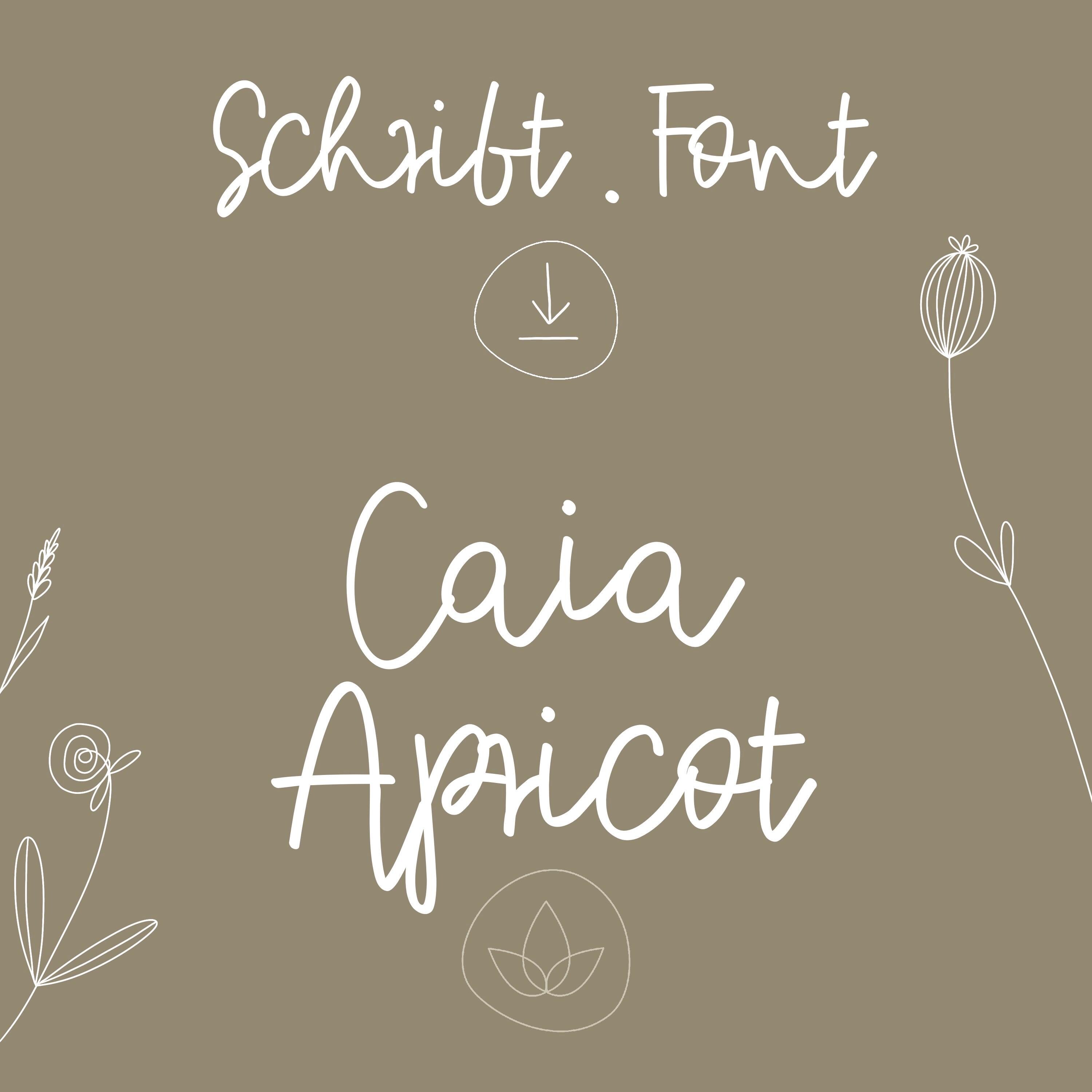OTF l FONT l APRICOT Font Font simple digital download caia including commercial license laser writing commercial purposes