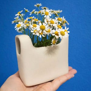 Könnte beinhalten: Eine kleine, cremefarbene Keramikvase mit Henkel, gefüllt mit einem Strauß Gänseblümchen. Die Gänseblümchen haben weiße Blütenblätter und gelbe Zentren. Die Vase vor blauem Hintergrund.