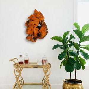 Burl väggklocka, vintage telepklocka, romerska siffror träklocka, träskivaklocka, sällsynt telepklocka, väggdekor, bohemisk, mitten av århundradet 23''