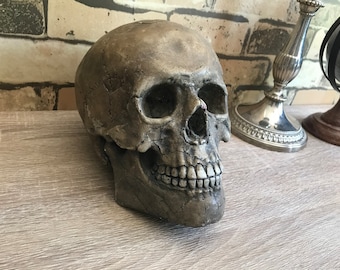 Pode incluir: Uma réplica de crânio humano realista e detalhada, feita de um material cinza texturizado. O crânio está colocado sobre uma superfície de madeira marrom claro.