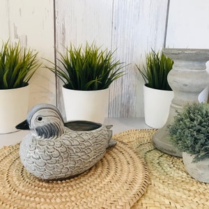 Könnte beinhalten: Ein grauer Keramik-Enten-Pflanztopf mit schwarzem Schnabel, der auf einer gewebten Matte liegt. Das Bild zeigt auch kleine Topfpflanzen mit grünem Gras und einen grauen Kerzenhalter. Der Hintergrund ist eine weiße Holzwand.