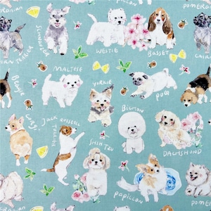 Tecido para cachorro e gato - Tecido para gatinhos - Tecido para desenho de animais - Tecido 100% algodão - Tecido acolchoado - por meia jarda
