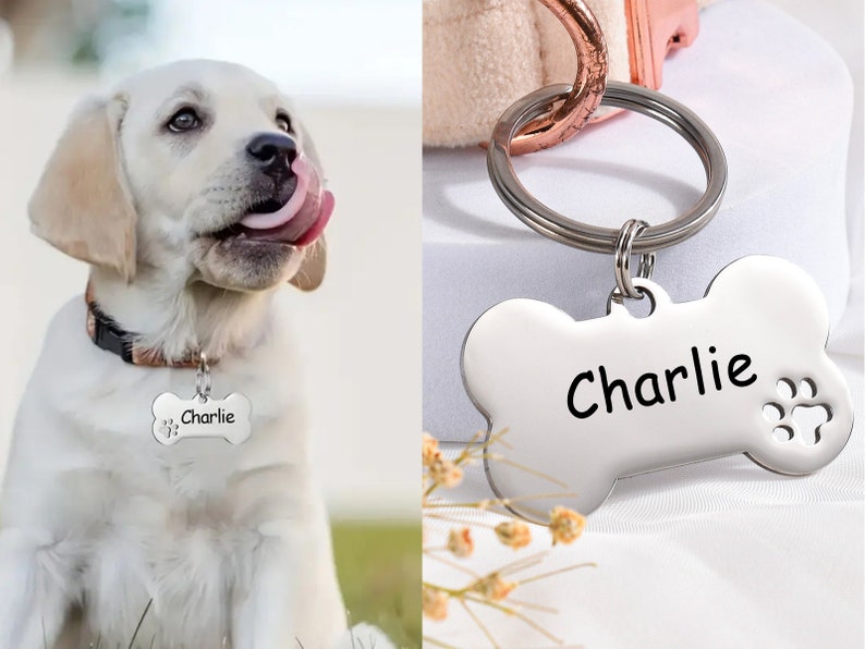 May include: A silver bone-shaped dog tag with the name "Charlie" engraved on it. The tag has a small paw print design on the side.