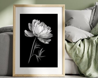 Schizzo di peonia / Arte della parete digitale / Stampa botanica