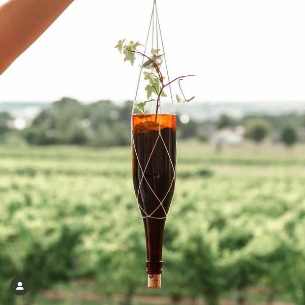 Wine Bottle Hanging Planters | Wine Gifts | Wine Lover | Recycled Wine Bottle | Gifts for Wine Lovers | Wine Bottle Hanging Macrame