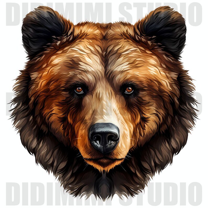 Puede incluir: Retrato de cerca de la cara de un oso pardo. El oso tiene un pelaje marr&oacute;n oscuro, una nariz negra y ojos marrones. El pelaje del oso est&aacute; detallado con pelos individuales.