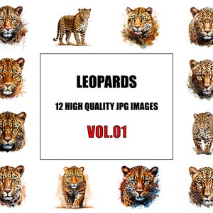 Leopards Clipart - Vol 1 - Digital Art - 12 High Quality JPG Images - Wall Art - White Background - Commercial Use - Digital Download