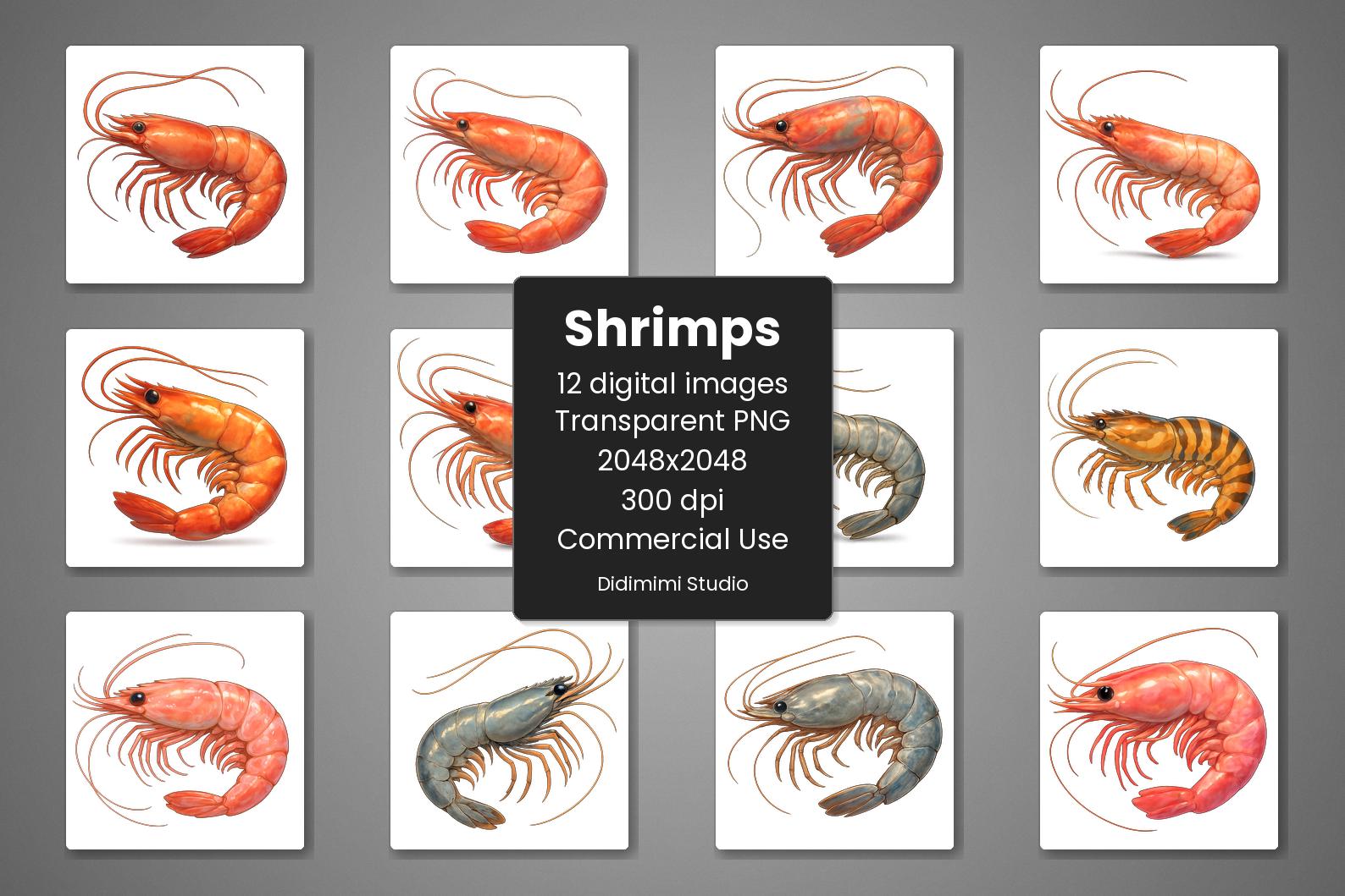 Shrimps Clipart PNG Set of 12 - High Quality 300dpi, Transparent Background, Commercial Use, Digital Download