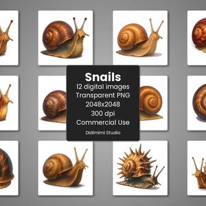 Escargots Clipart haute qualité PNG, lot de 12, 300 dpi, fond Transparent, utilisation commerciale en téléchargement numérique
