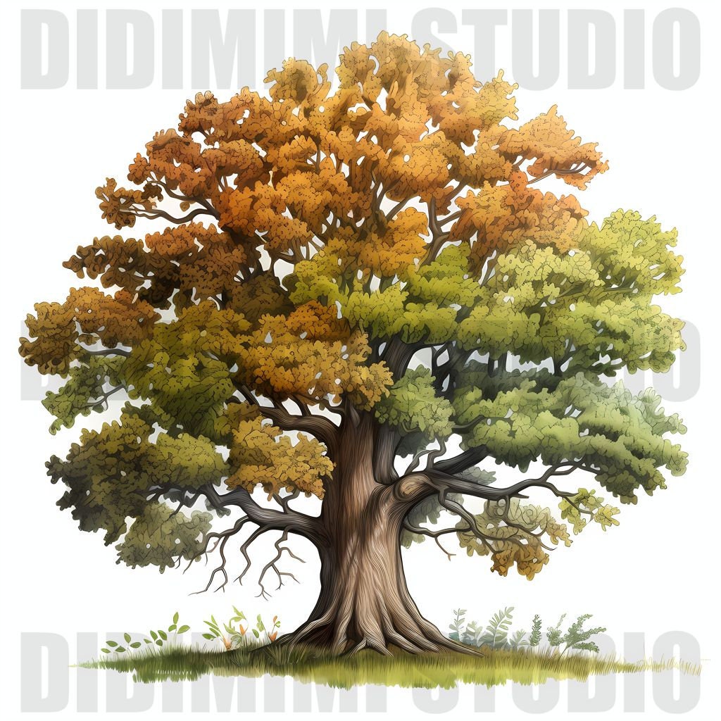 Colorful Oak Trees Clipart Digital Art 12 High Quality JPG Images Wall ...