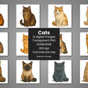 Katzen-Clipart-Set - 12 hochwertige PNGs, transparenter Hintergrund, 300 dpi, digitaler Download, kommerzielle Nutzung