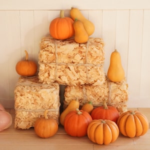 Miniature Pumpkins and Butternut Squash | 1:12 Scale Dollhouse Food