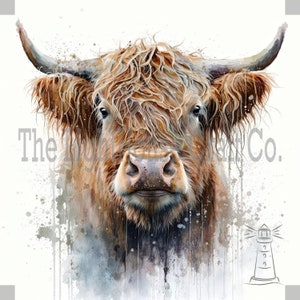 Highland Cow Clip Art 12 High Quality JPGs - Digital Planner, Journaling, Watercolour, Wall Art, Commercial Use - Digital Download