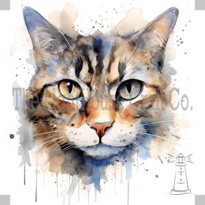 Chats Clip Art 12 JPG de haute qualité - Planificateur numérique, Journalisation, Aquarelle, Art mural, Utilisation commerciale - Téléchargement numérique