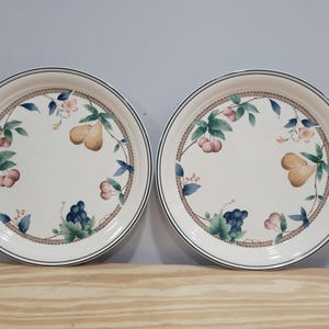 Noritake Keltcraft Nature&#39;s Bounty 10&quot; Dinner Plates - Set of 2