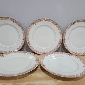 Limoges Bernardaud France Floral 9&quot; Porcelain Dinner Plates - Set of 5