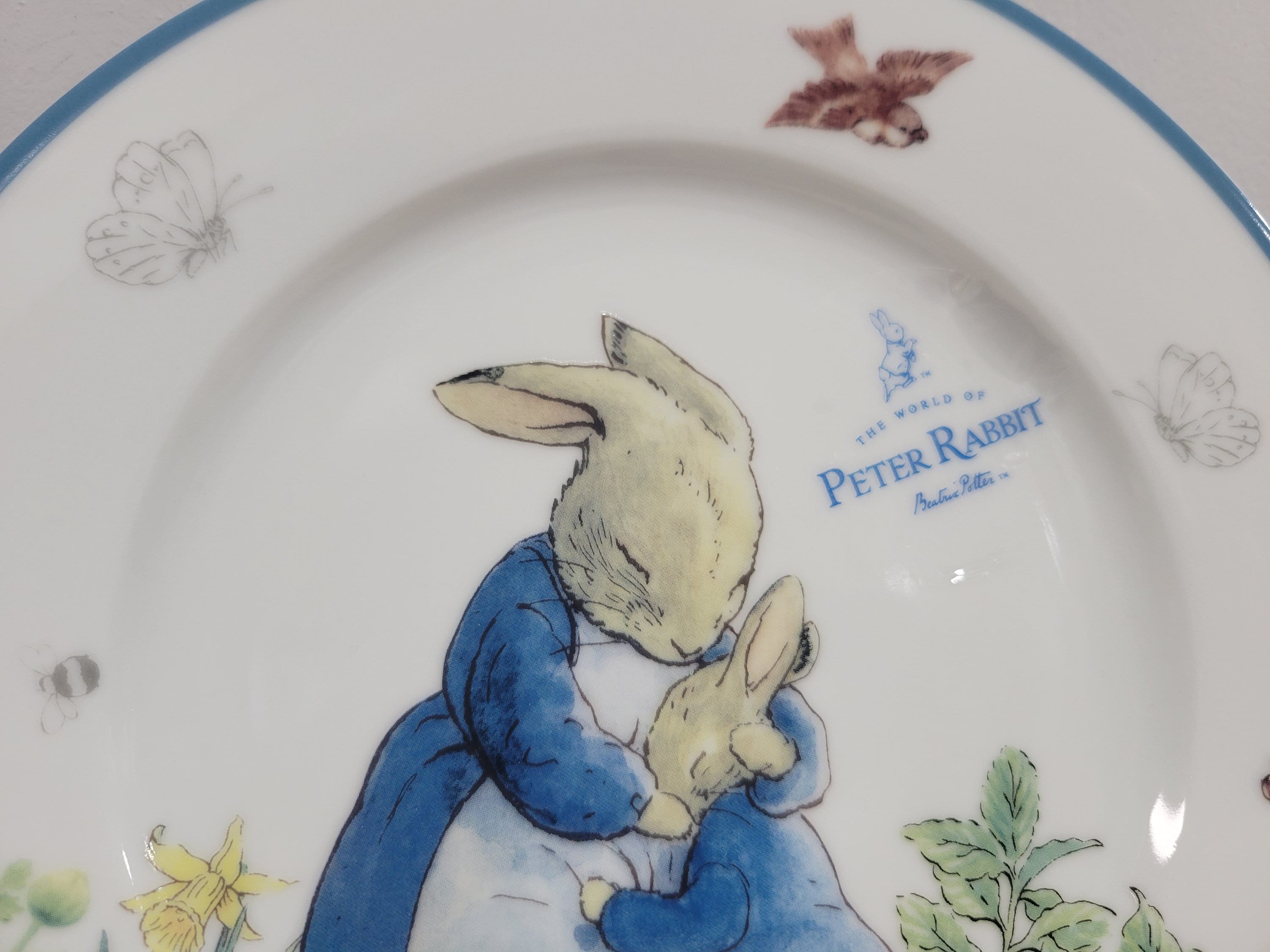 ZRIKE Peter Rabbit Classic 8 Salad Plates Set of 4 - Etsy