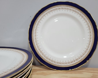 May include: White porcelain plates with a navy blue and gold rim. The plates have a scalloped edge and a decorative gold and brown pattern. A stack of plates is visible on the left side of the image.