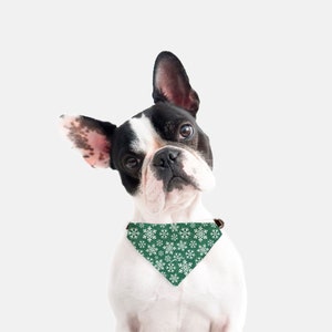 Bandana Flurry Collar (Verde)