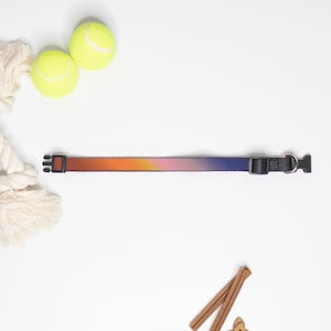Aries Pet Collar (Rainbow-Style 2)