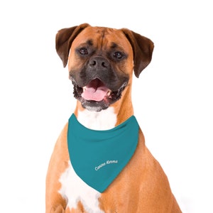 Finn Bandana