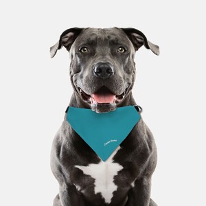 Finn Collar Bandana