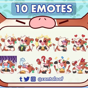 Brown and White Cow Emotes | 10 cute cow Twitch & Discord emotes
