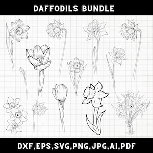 Daffodils svg, Daffodil Flowers svg, Narcissus flower bouquet svg, Birth flower svg, Spring flowers svg, png, cut file