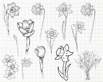 Daffodils svg, Daffodil Flowers svg, Narcissus flower bouquet svg, Birth flower svg, Spring flowers svg, png, cut file