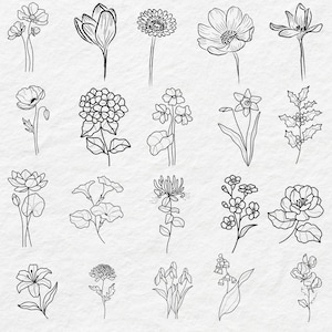 Birthmonth svg bundle, Birth month flower svg, Birth flower svg, Botanical svg, Wildflower svg