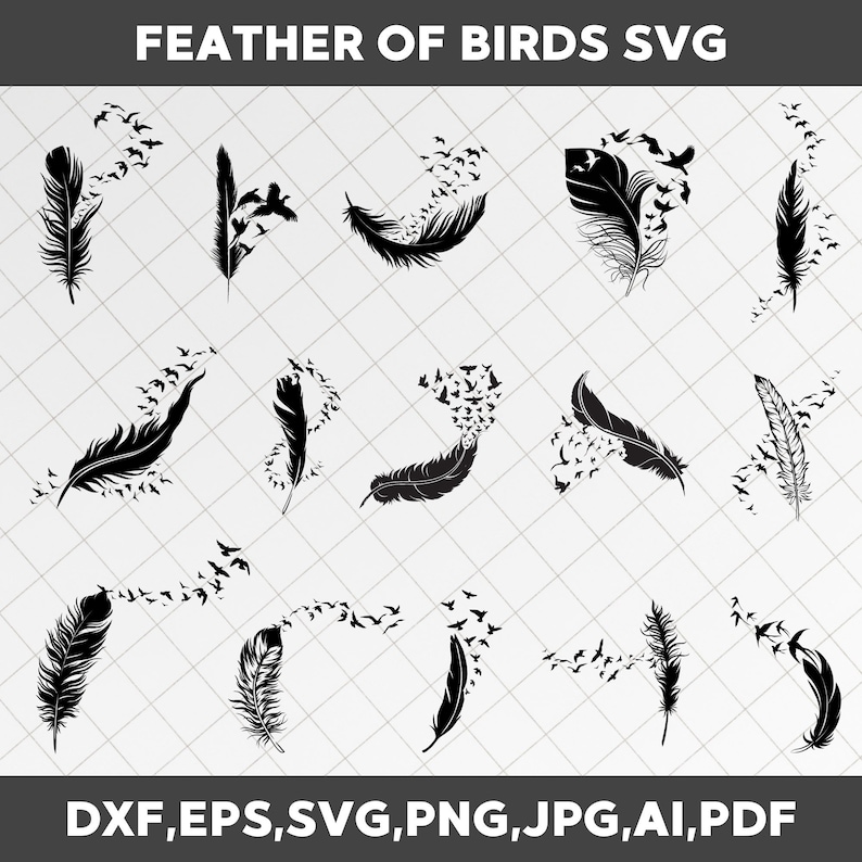 feather birds svg
