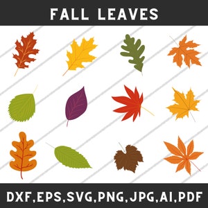 Fall leaves svg, Fall leaves clipart, Fall png, Fall leaf svg bundle, Autumn leaves svg, Autumn leaf bundle