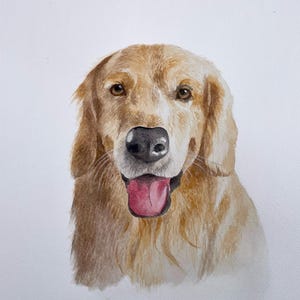 Custom Watercolor Pet Portrait: Personalized Dog or Cat Painting, Pet Memorial