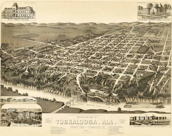 Map of Tuskaloosa AL 1887 High Resolution Digital Download