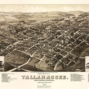 May include: An antique bird's-eye view map of Tallahassee, Florida, the state capital. The map shows the city's layout with streets, buildings, and surrounding landscape. The text "View of the City of Tallahassee, State Capital of Florida" is printed at the bottom of the map.