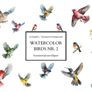 Ensemble de 25 cliparts aquarelle oiseaux, clipart, collection d'art numérique, usage Commercial