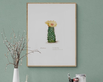 Vintage Cactus Printable: Succulent Wall Art, Southwest Wall Art, Vintage Cactus Print, Watercolor Cactus Poster for Nursery & Home Decor